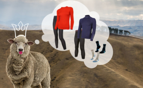 PROWADZENIE SOCIAL MEDIA DLA BRUBECK