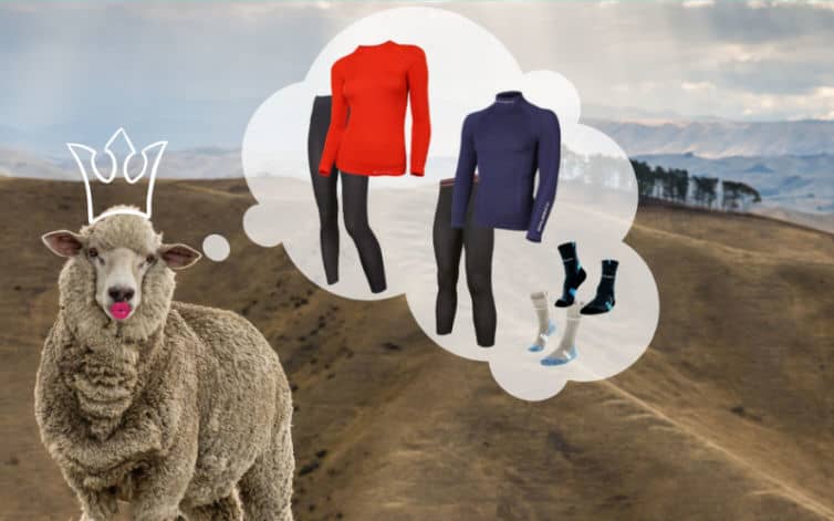 PROWADZENIE SOCIAL MEDIA DLA BRUBECK